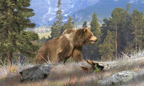 Wildlife Art Grizzly Bear By Dale Kunkel Art