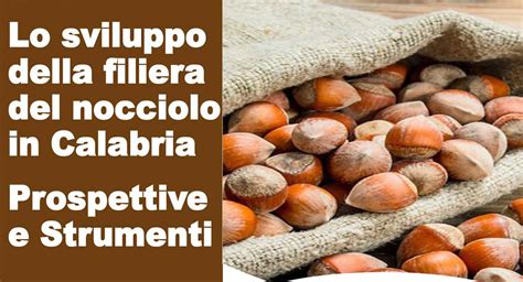 Lo Sviluppo Della Filiera Del Nocciolo In Calabria Prospettive E