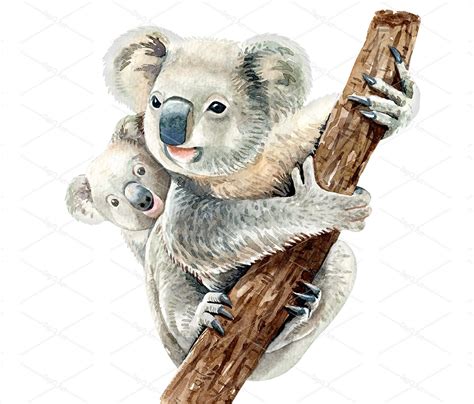 Watercolor Koala and Baby Drawing | Koala Animal Paint