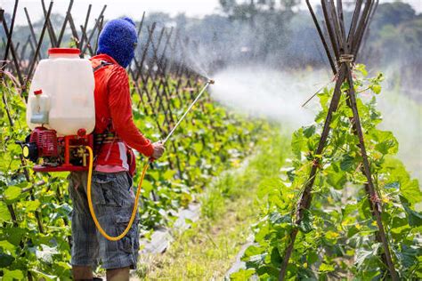 Agricultura Intensiva