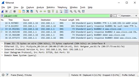 CISCO CyberOps Lab Exploring DNS Traffic Cybersecurity Training