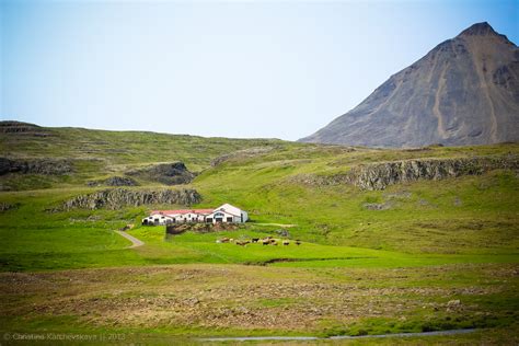 Исландия [14]: День 6. Лети-лети, лепесток... Назад в Рейкьявик.