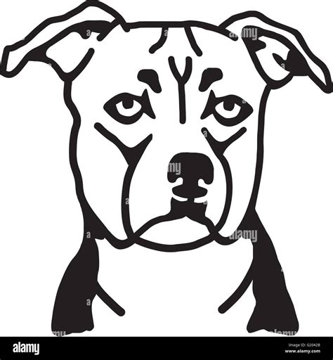 Bull Terrier Logo Imágenes Vectoriales De Stock Alamy