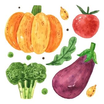 Premium Vector | Vegetables clip art, set.