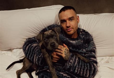 Se conoció la causa de la muerte del cantante Liam Payne ingirió un