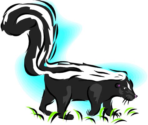 Free Skunk Clipart