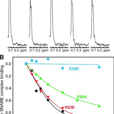 Differential Disruption Of Munc Binding To The Snare Complex By