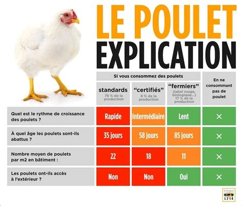 Lélevage des poulets de chair