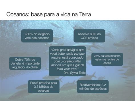 Qual a importância dos oceanos para o planeta Cook 4 Life