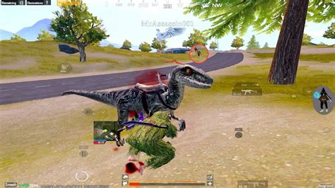 Velociraptor Pubg Mobile Youtube