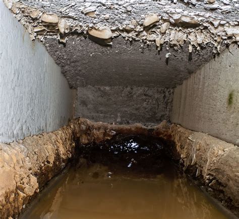 Wet Crawl Space Repair Service Ess Company