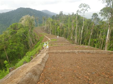 The Reinstated Right Of Way With Surface Erosion Control Berms Prior