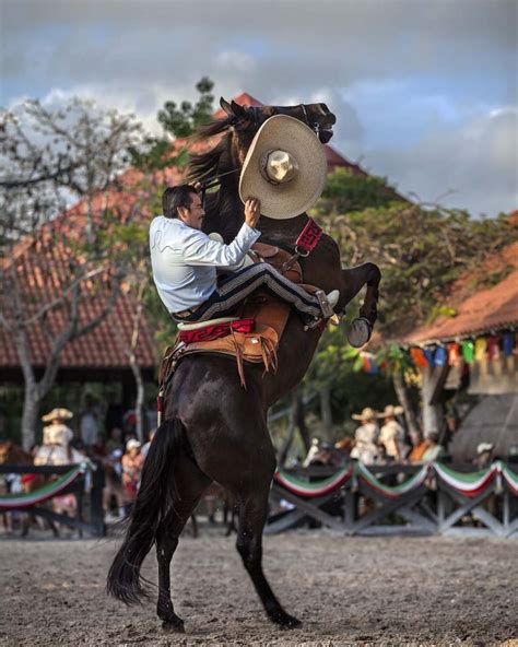 Blog Xcaret Imagenes De Charreria Charreria Charreria Mexicana