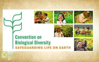 Convention On Biological Diversity CBD PPT