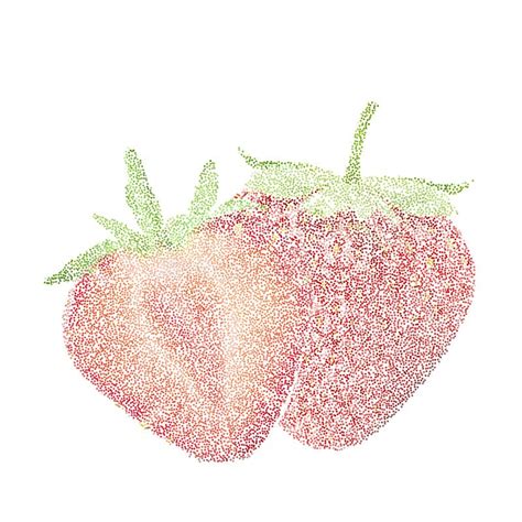 Tropical Nature Fresh Colorful Stippling Fruit Isolated Vector S Stock