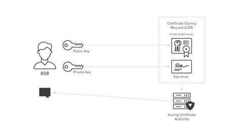 What Is Pki A Public Key Infrastructure Definitive Guide Keyfactor