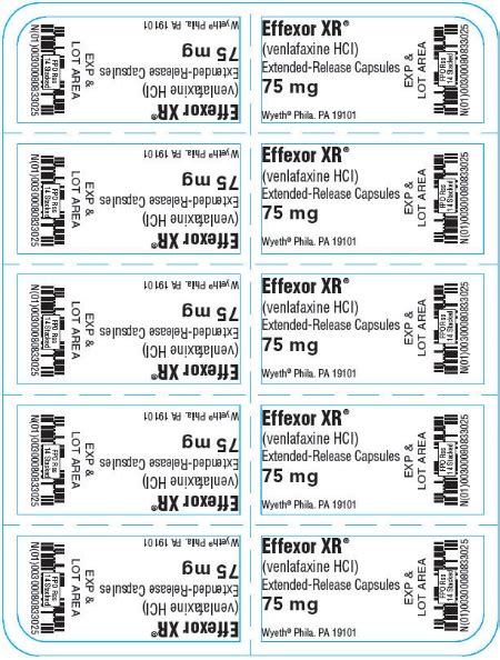 Dailymed Effexor Xr Venlafaxine Hydrochloride Capsule Extended Release