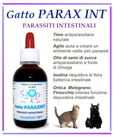 Integratore Struvite Gatti Integratore Calcoli Renali Gatto