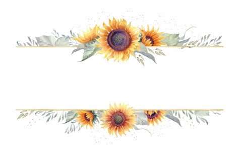 Free Sunflower Clipart Transparent Background, Download Free Sunflower Clipart Transparent ...