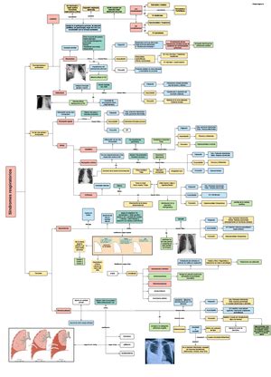 Tos Mapa Conceptual De Semiolog A De La Tos Tos Inhibici N