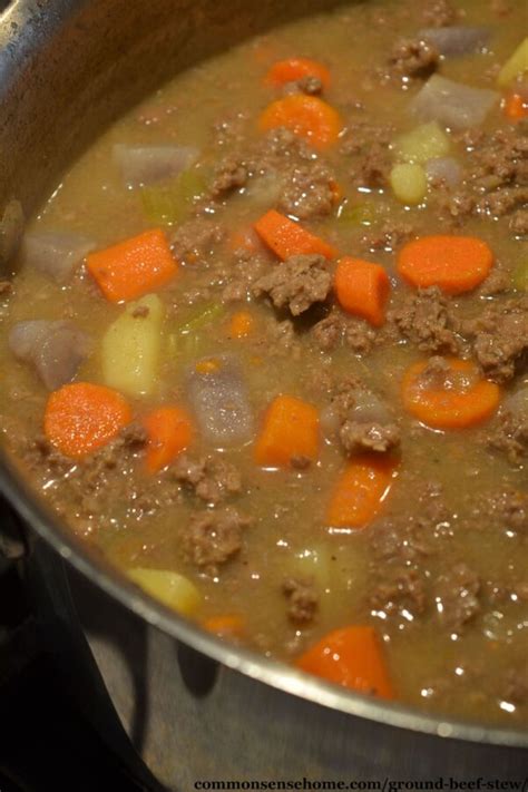 Hearty Ground Beef Stew (Quick to Cook, Budget Friendly)