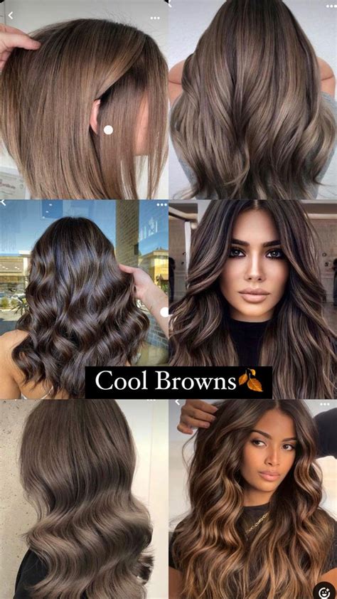 Cool Browns🍂 Cool Brown Hair Hair Color Balayage Brown Hair Colors