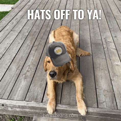 Hats Off To You Gifs Get The Best On Giphy