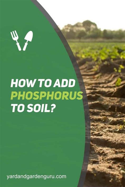 How To Add Phosphorus To Soil