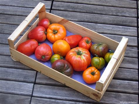 Oh Les Belles Tomates