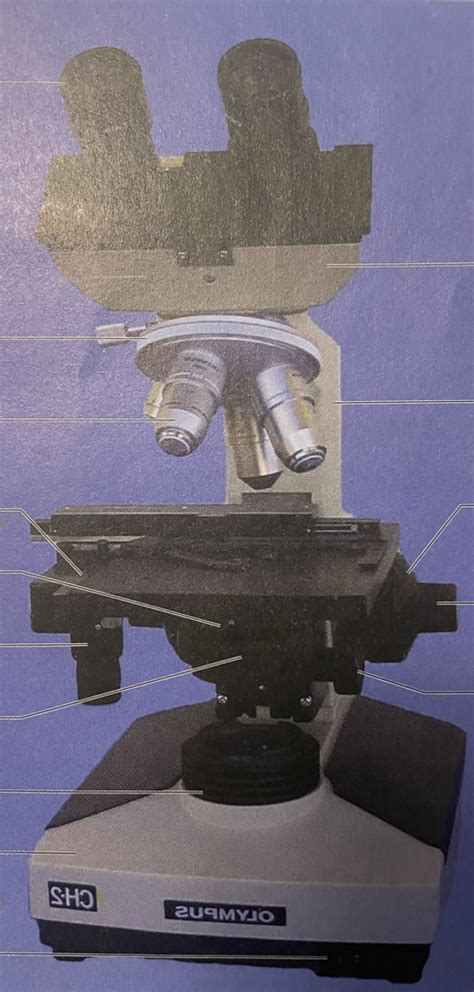 Microscope Parts And Functions Diagram Quizlet