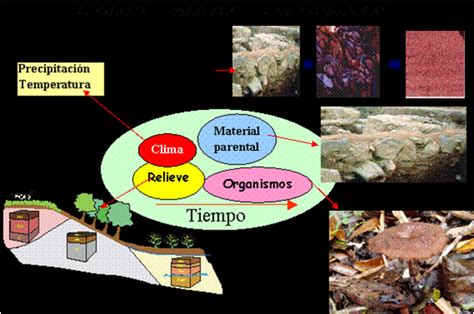 FUNDAMENTOS DE LA CIENCIA HISTORIA DE LA CIENCIA DEL SUELO EDAFOLOGÍA