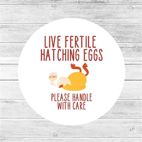 Fertile Hatching Egg Label Fragile Egg Stickers Chicken Etsy