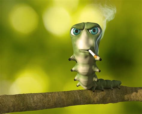 Create Meme Meme Caterpillar With A Cigarette The Smoking Caterpillar