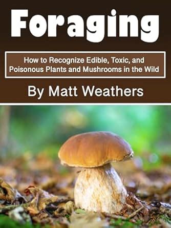 Amazon Foraging How To Recognize Edible Toxic And Poisonous