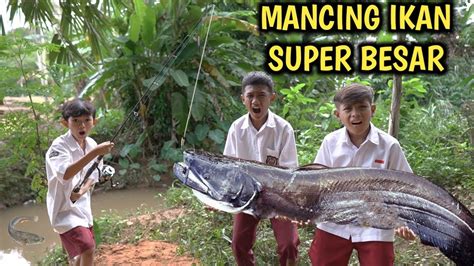 Mancing Ikan Terbesar Yang Ada Di Pinggir Kali Youtube