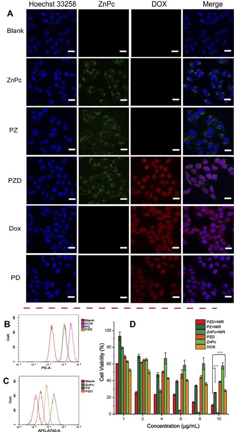 In Vitro Encapsulation And Cytotoxicity Performances Of Free Dox Free