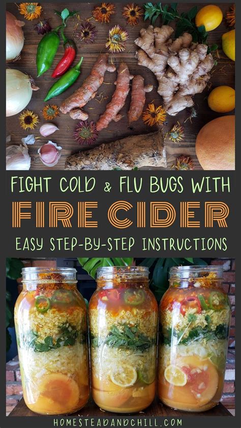 Easy Fire Cider Recipe How To Make Homemade Fire Cider ~ Homestead And