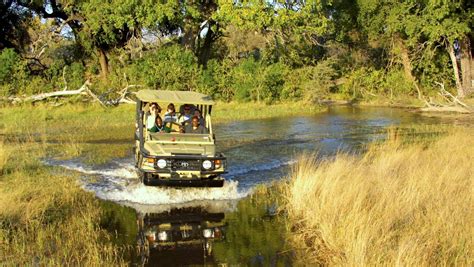 Wildlife Safaris and scenic tours from Johannesburg | Southern Circle Tours & Safaris