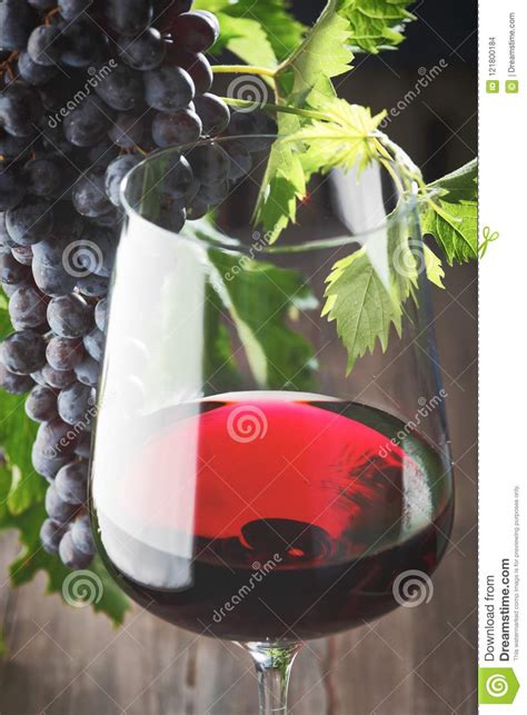 Red Wine And Grapes Stock Photo Image Of Vine Taste 121800184