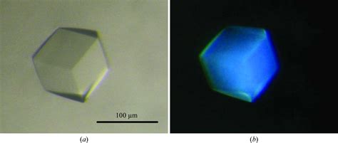 Iucr Crystallization And Preliminary X Ray Analysis Of The Open Form