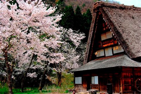 Four Seasons in Shirakawa-go | Travel Guide | Kyuhoshi