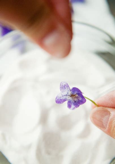 candied violets recipe | use real butter