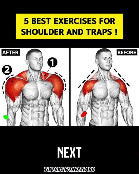 Best shoulder and traps workout! in 2024 | Traps workout, Shoulder and ...