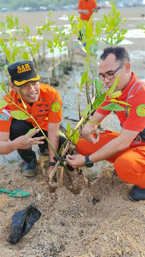 Basarnas Bali Tanam Pohon Mangrove Di Tanjung Benoa Siaranbali