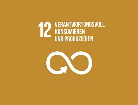 Sdg Menschenw Rdige Arbeit Und Wirtschaftswachstum Un Women