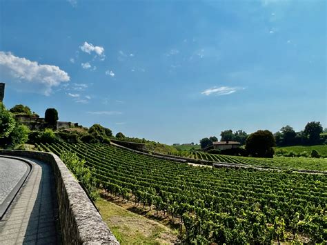 10 Best Saint Emilion Wineries To Visit Recommended By A Local Wine