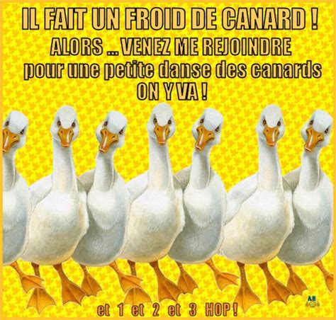 Il Fait Un Froid De Canard