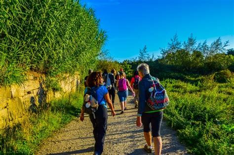 Best Camino de Santiago Tours | Follow the Camino