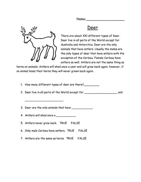 15 5 W S Story Comprehension Worksheets