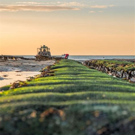 Gouville Sur Mer Et Blainville Sur Mer Coutances Tourisme Organisez